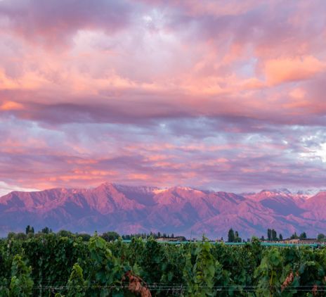 Made in Mendoza: from Cuyo to the World