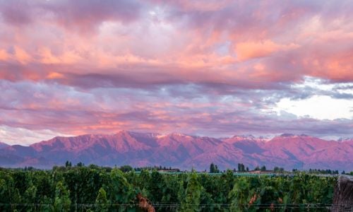 Made in Mendoza: from Cuyo to the World