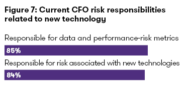 CFO risk responsibilities CFO risk responsibilities